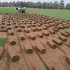 مزرعة تيل بالرياض