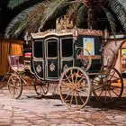 للاستثمار عربه ملكيه تجر بالخيل او بالجمل