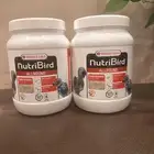 سريلاك طيور