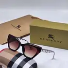 نظارات  كبكات  محافظ