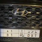 لوحه مميزة رقم 81