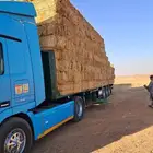 تبن