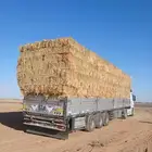 ذره جيزانيه حمراء الدفع عند الوصول