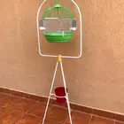 مستلزمات طيور حامل قفص