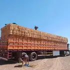 الدفع عند الاسلام تبن قمح