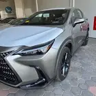 لكزس NX ستاندر 2025