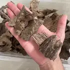 عود زوايا فيتنامي طبيعي