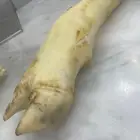 كولاجين عجل