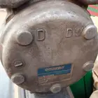 مواهافي