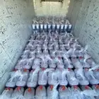 كركديه. KD كركدية ديلارا. توريد بالجملة والتفرقه