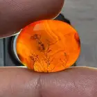 عقيق يماني احمر شجري