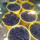 توت الطايف طبيعي