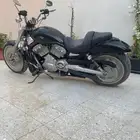 للبيع هارلي في رود v rod موديل 2005 تشليح بالكامل