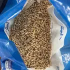 شعير سداسي للبيع