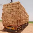 تبن قمح شد أوزان