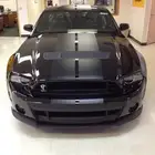 مطلوب موستنق