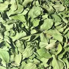 اجمع ورقة السدر واطحنه بنفسي