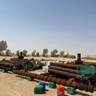 طرنبه 8 بوص وادي الدواسر
