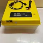 دجاج وحمام