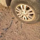 طقم جنوط فورد اكس بديشن