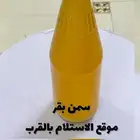 سمن بقري جيزان هروب
