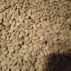 حب مصري درجه اولى بسعر الجمله