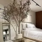 شقه للأيجار