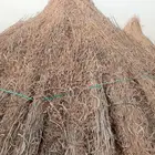 قصب يابس خريف من 3ريال
