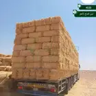 تبن قمح ناعم  1