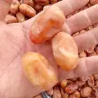 تمور