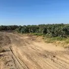 مزرعه للبيع