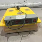 فقاسة 48 عون المربي