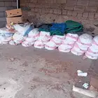 حشف للبيع