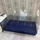 قفص بساس قطط