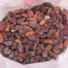 تمر علف للبيع نظيف