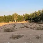 ارض للبيع مسوره بالعدامه الخرج