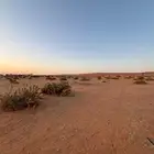 أرض زراعية في السيباني قريبة من ضرما المزاحمية القدية