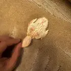 فروخ روز البينو