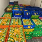 دجاج بشري مبرد اوزان 900 جرام الكرتون 115 ريال و 1000 جرام