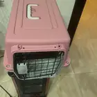 قفص قطط