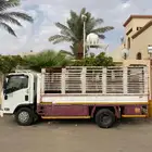 دينا ايسوزو 2014