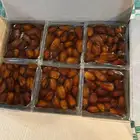 تمر صفري فاخر