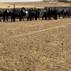 جفرات عوارض صنف