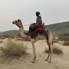 ركبي طايع للبيع