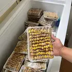 عصافير