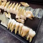 مجسمات أسنان بلاستيكية