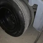 جنوط دينا شنبر