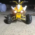 دباب