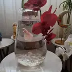 هدايا وزرع وسمك فايتر