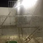 للبيع قفص للطيور كبير